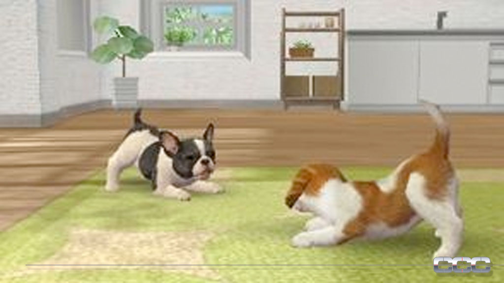 how to earn lots of money on nintendogs and cats
