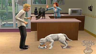 The Sims Playstation 2 Cheats Money