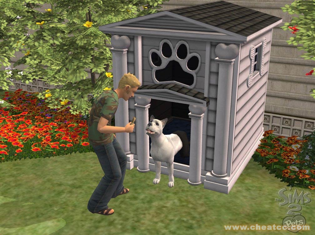 How Do You Enter Cheats On Sims 2 Pets