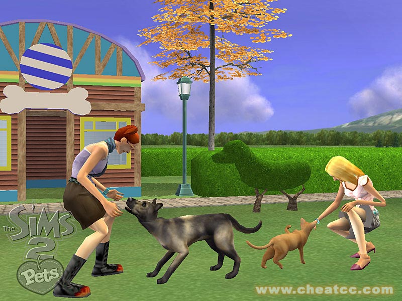 How To Enter Cheats On Sims 2 Pets Gamecube