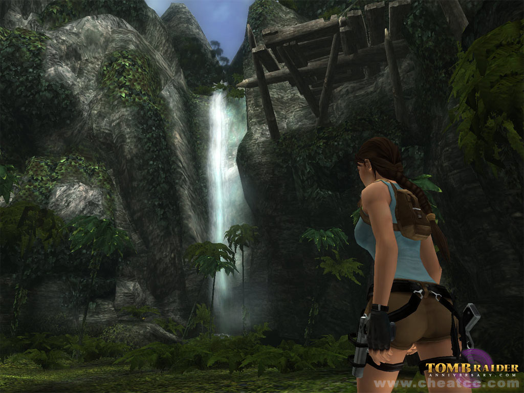 Tomb Raider Anniversary image