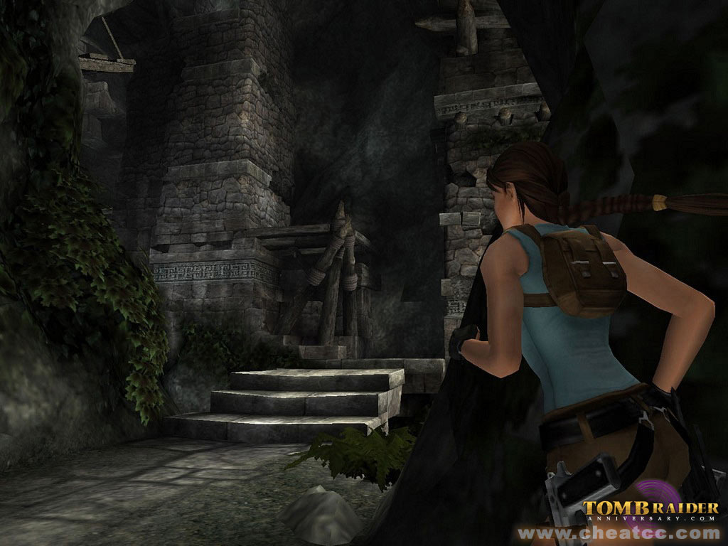Tomb Raider Anniversary image