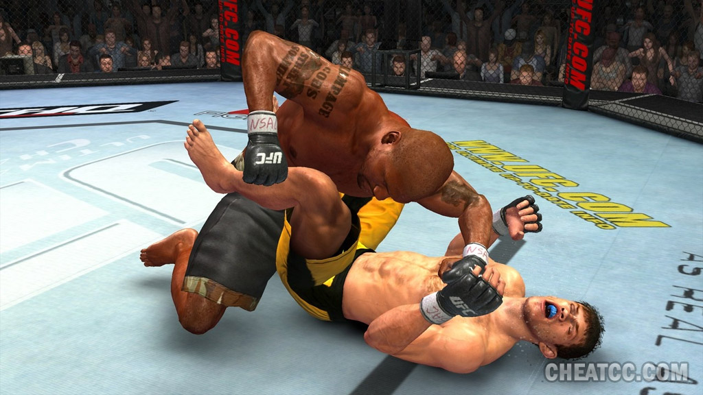 UFC 2009: Undisputed image