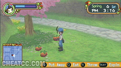 Harvest Moon: Hero of Leaf Valley image