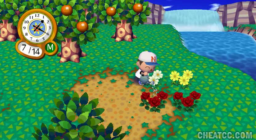 Animal Crossing: City Folk Review for Nintendo Wii