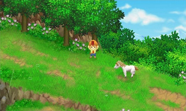 Harvest Moon: The Tale of Two Towns Screenshot