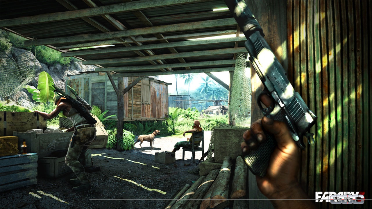 Far Cry 3 image