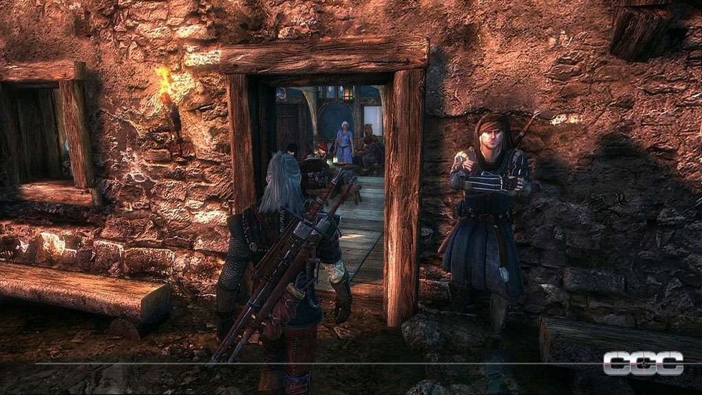 The Witcher 2: Assassins of Kings image