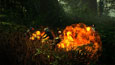 The Witcher 2: Assassins of Kings Screenshot - click to enlarge
