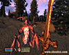 The Elder Scrolls IV: Oblivion screenshot - click to enlarge