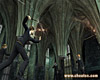 Harry Potter and the Order of the Phoenix screenshot - click to enlarge