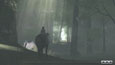 The ICO & Shadow of the Colossus Collection Screenshot - click to enlarge