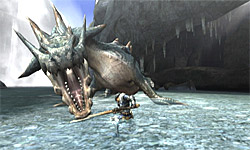 Monster Hunter Tri screenshot