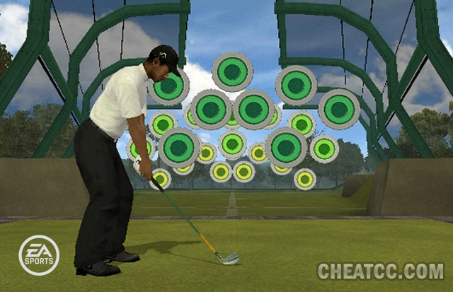 Tiger Woods PGA Tour 09 All-Play image