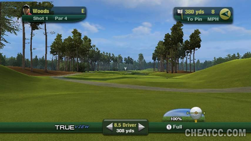 Tiger Woods PGA TOUR 11 image