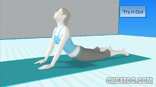 Wii Fit image