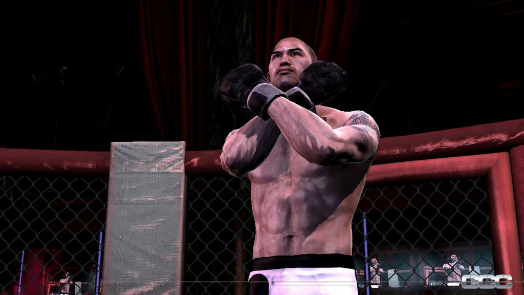 Supremacy MMA image