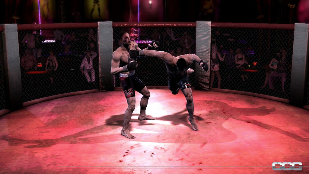 Supremacy MMA image