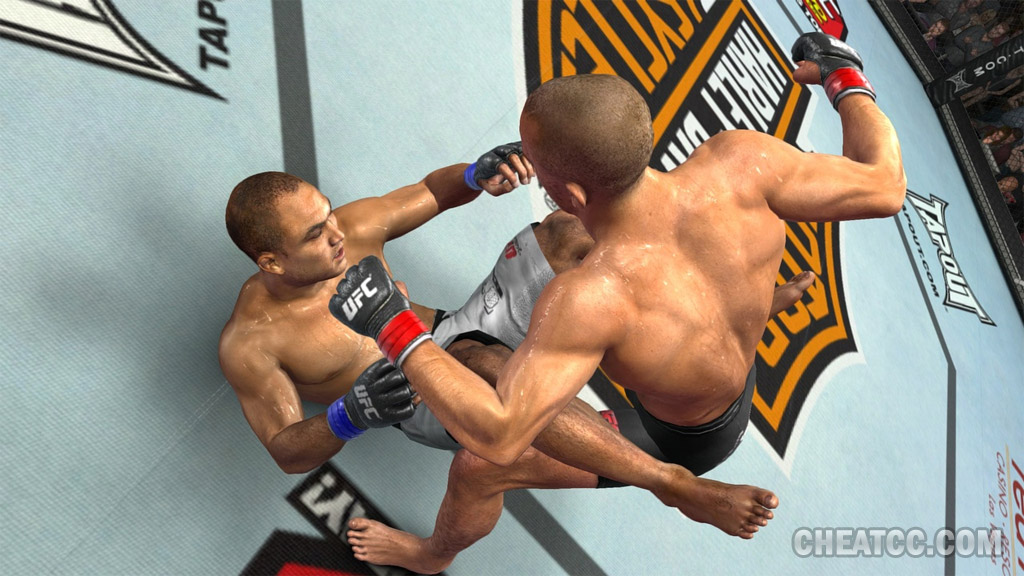 UFC 2009 Undisputed image