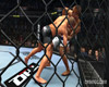 UFC 2009 Undisputed screenshot - click to enlarge