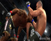 UFC 2009 Undisputed screenshot - click to enlarge