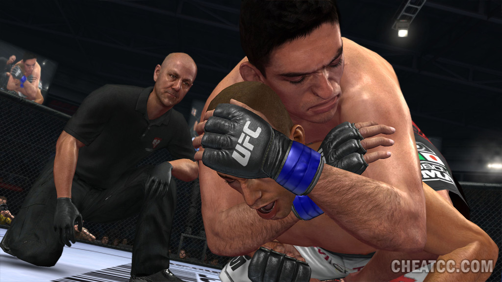 UFC 2010 Undisputed image