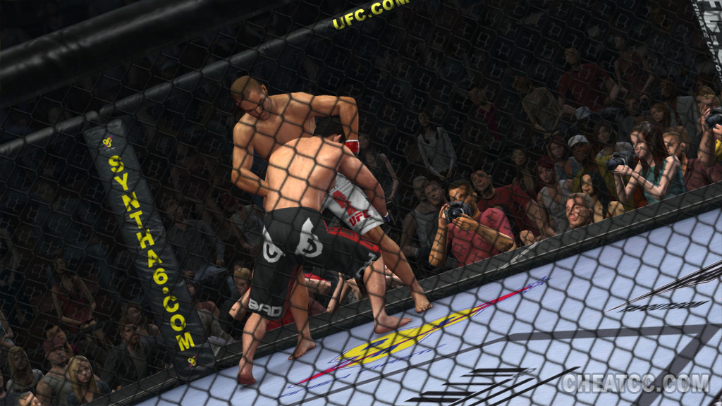 UFC 2010 Undisputed image