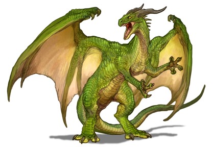 Dragon photo