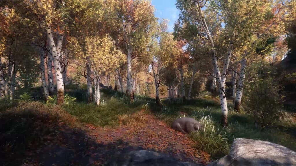 Forest in Skyrim Wildlander.