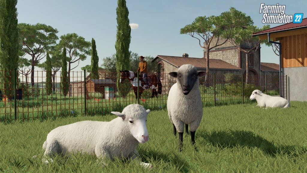 Sheep on a field in Farming Simulator 22.