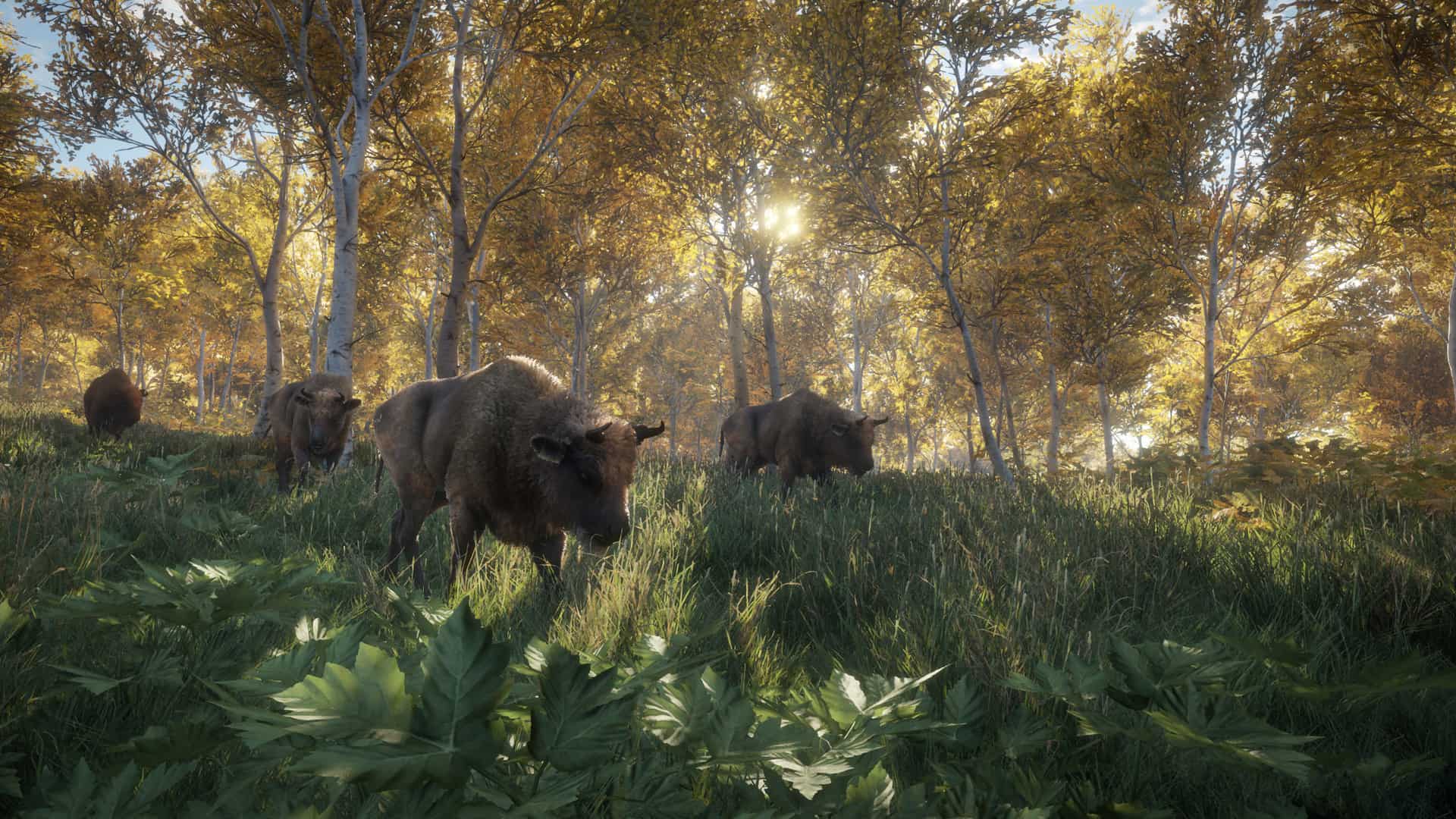 Hunter Call Of The Wild Cheats Ps4 theHunter: Call of the Wild Cheats & Cheat Codes for PC, PlayStation 4