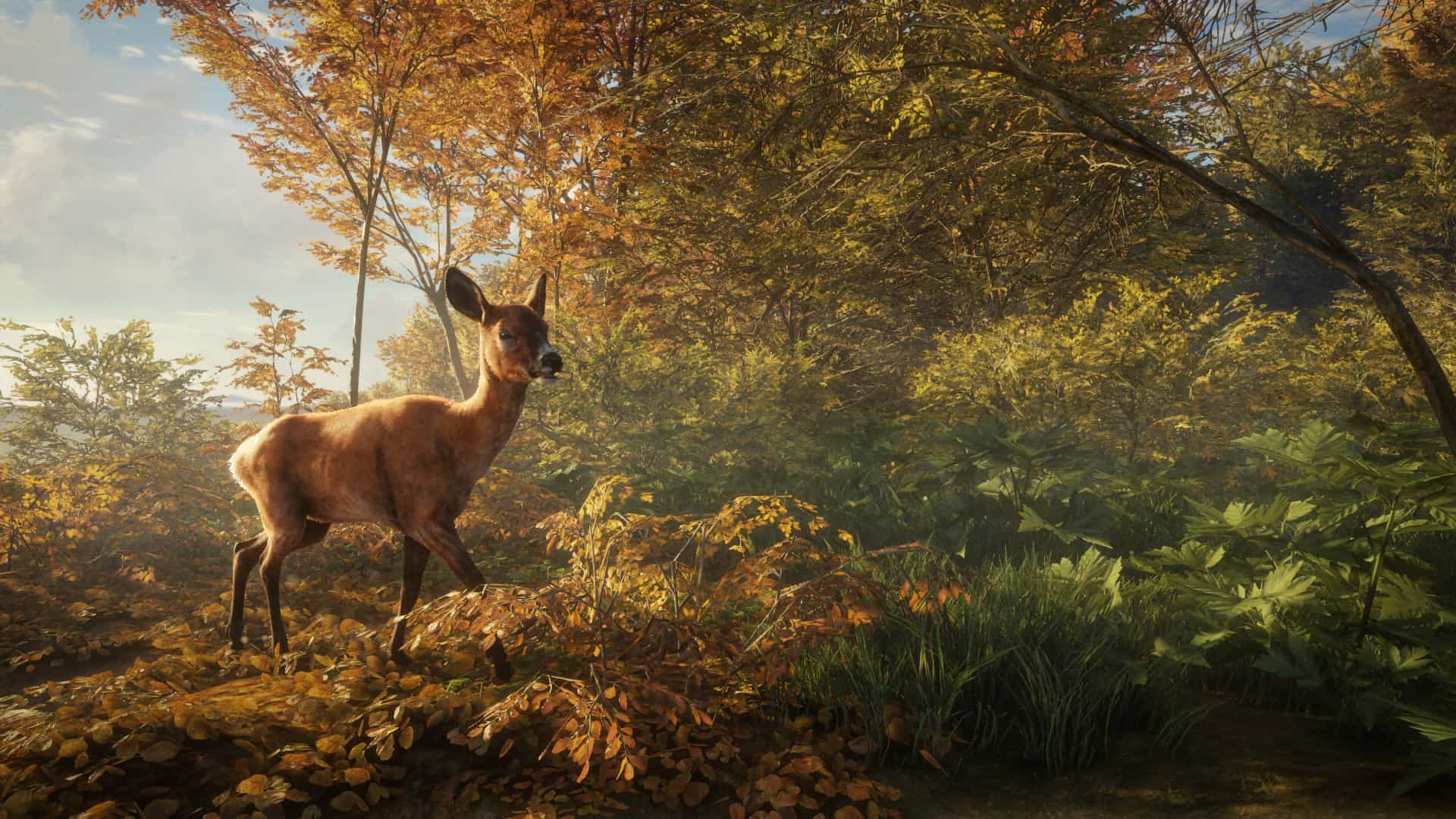 A Steam promotional image for theHunter: Call of the Wild.