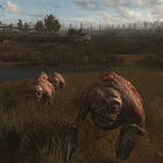 S.T.A.L.K.E.R.: Call of Pripyat (2009)