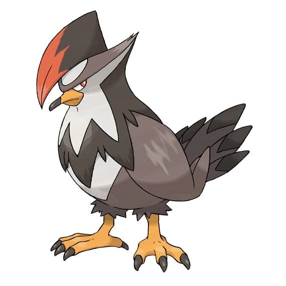 Staraptor Pokemon