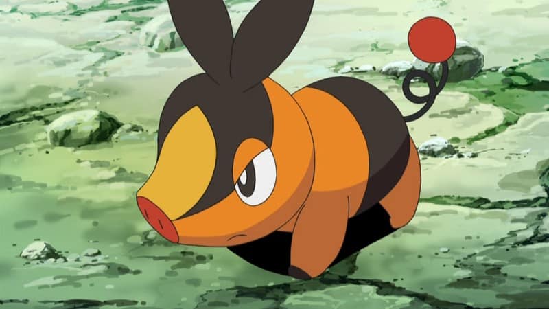 Tepig Pokemon