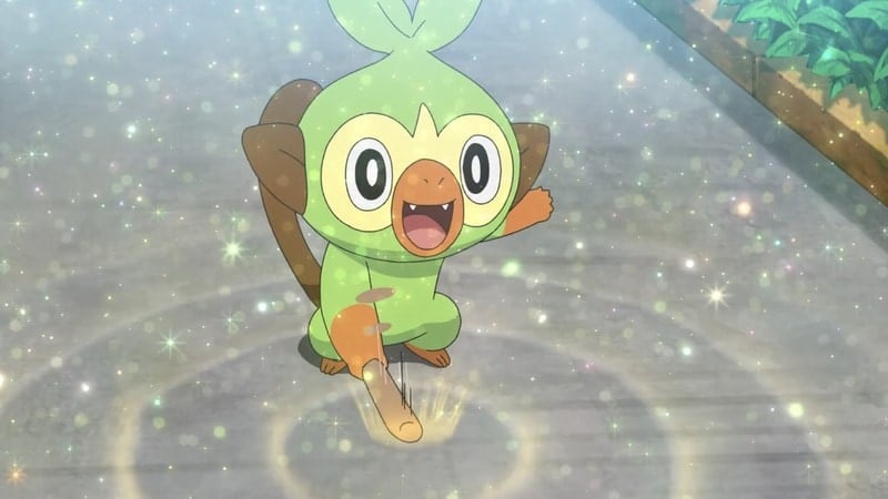 Grookey Pokemon