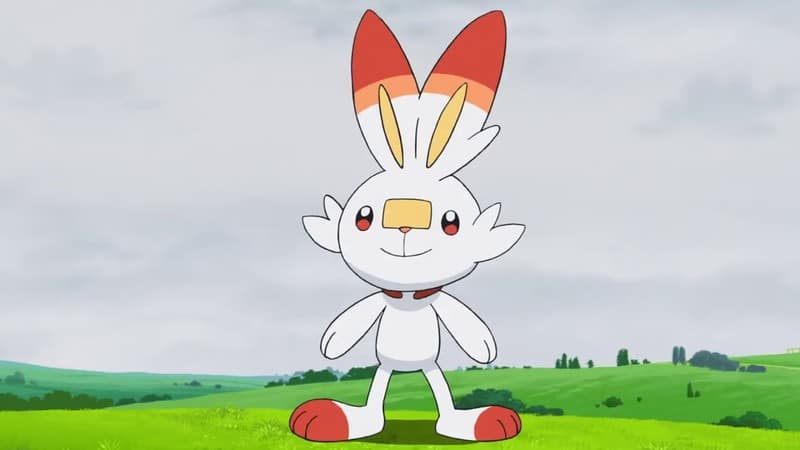 Scorbunny will be fire/fighting. : r/pokemon