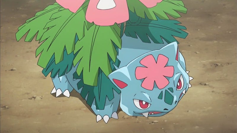 Mega Venusaur Pokemon