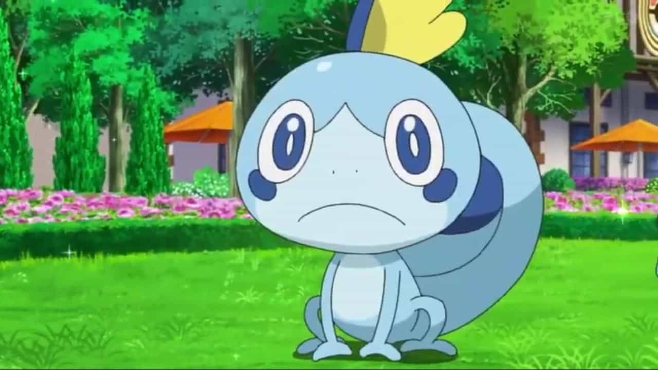 Pokémon Sword and Shield Sobble guide: Evolutions and best moves - Polygon