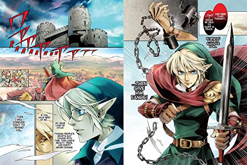 Difference Between The Legend Of Zelda Manga And Games