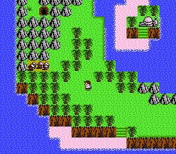 Island in StarTropics.