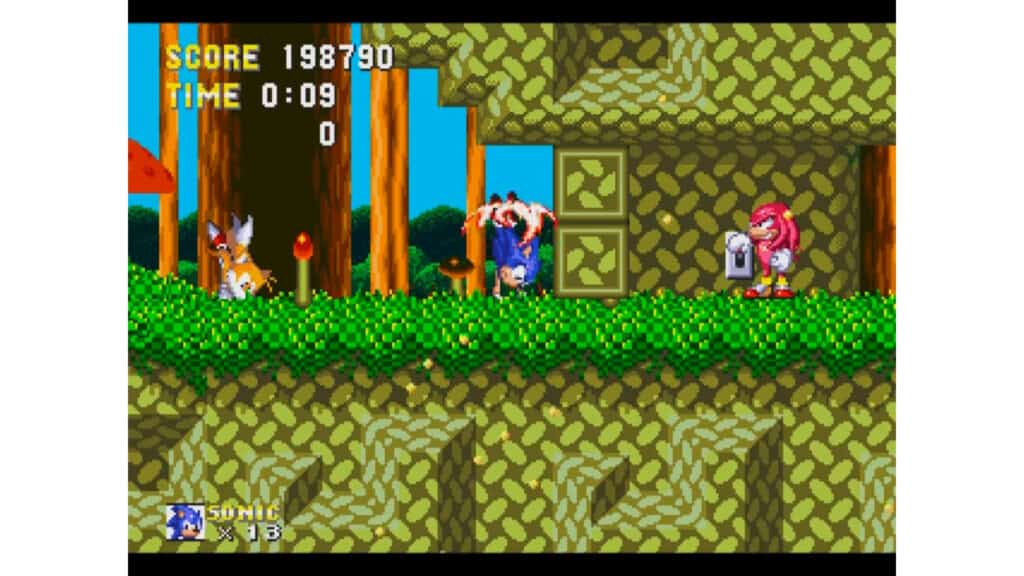 An in-game screenshot from Sonic 3 & Knuckles.