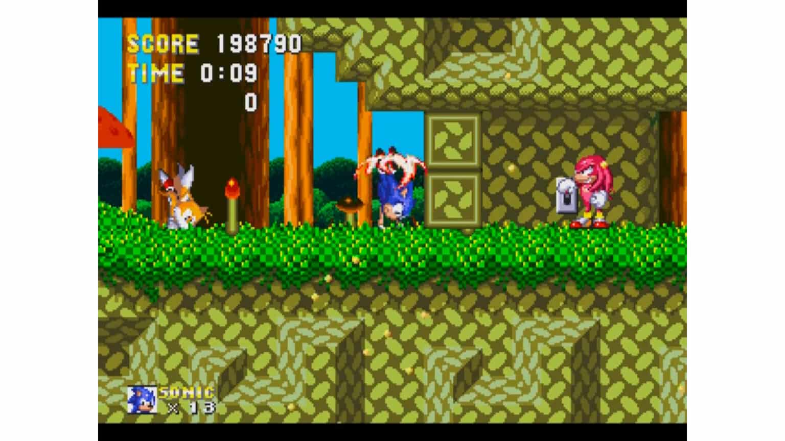 Sonic 3 & Knuckles Cheats & Cheat Codes for Sega Genesis and PC Cheat