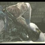 Shadow of the Colossus