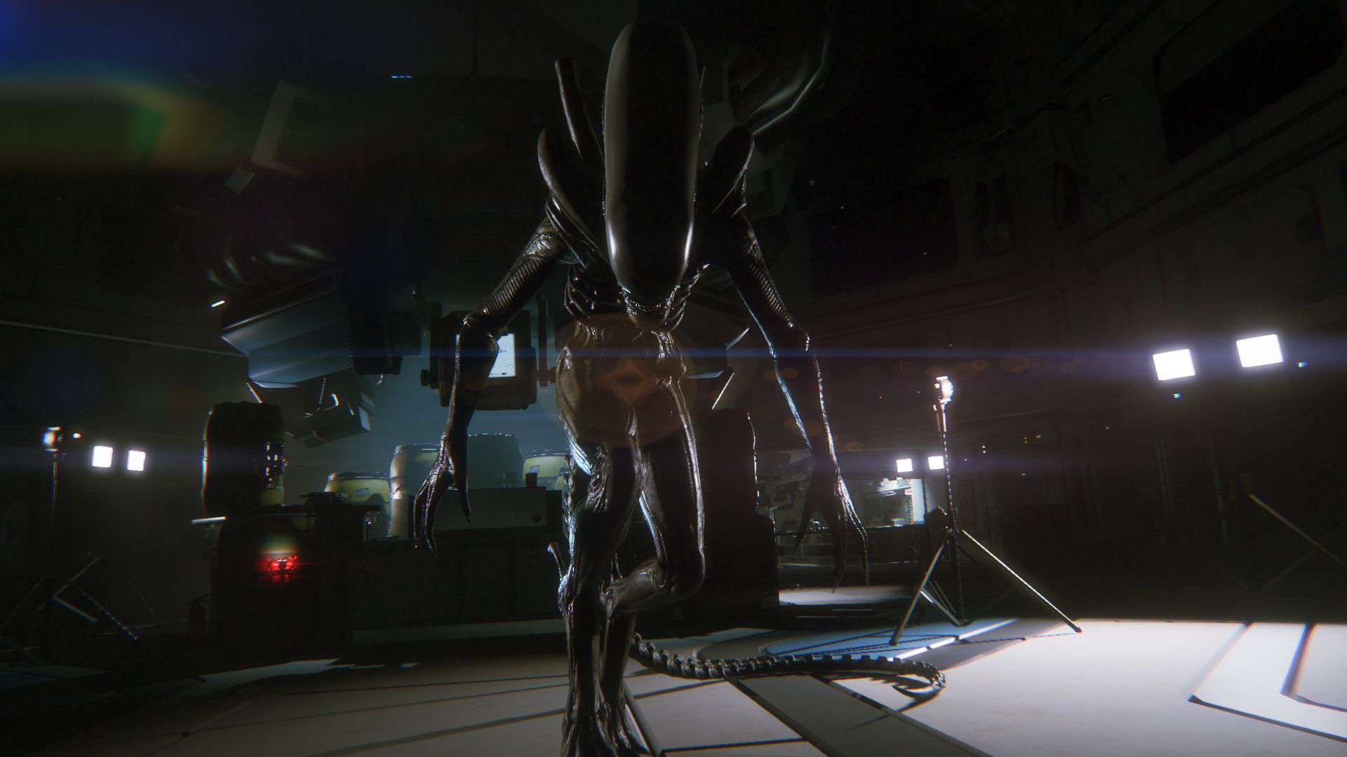 Alien: isolamento