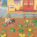 Animal Crossing: New Horizons
