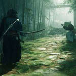 Rise of the Ronin