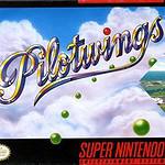 11. Pilotwings