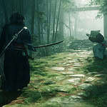 Rise of the Rōnin