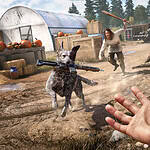 Far Cry 5